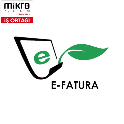 e fatura başvuru