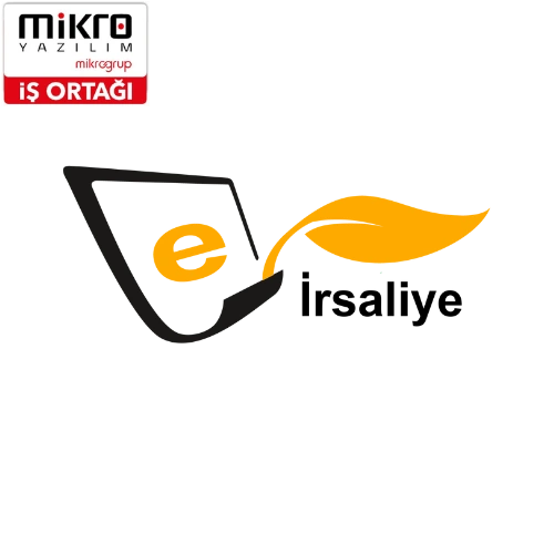 e İrsaliye başvuru