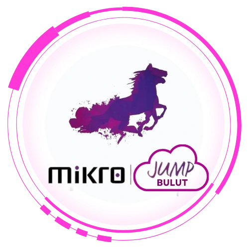 Mikro Jump Basic e-Dönüşüm Çözümleri