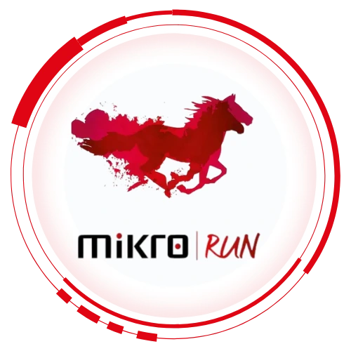 Mikro Run