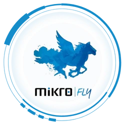 Mikro Fly