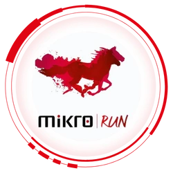 Mikro Run